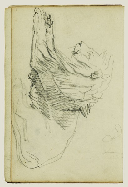 Seated Lion; Théodore Géricault, French, 1791 - 1824, 1812 - 1814; Graphite; 15.2 x 10.6 cm, 6 x 4 3,16 in