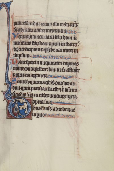 Initial D: David as a Knight Holding a Sword; Bute Master, Franco-Flemish, active about 1260 - 1290, Northeastern illuminated
