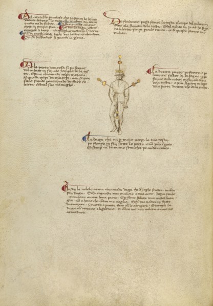 Aiming Points on the Body; Fiore Furlan dei Liberi da Premariacco, Italian, about 1340,1350 - before 1450, Padua, or, Italy