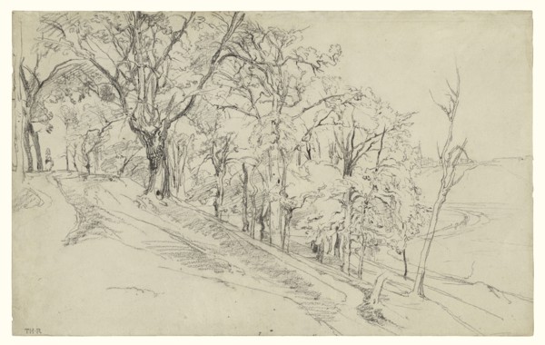 Forest in Boisrémond, recto, Cottage in a Forest, verso, Théodore Rousseau, French, 1812 - 1867, 1842; Black chalk on laid