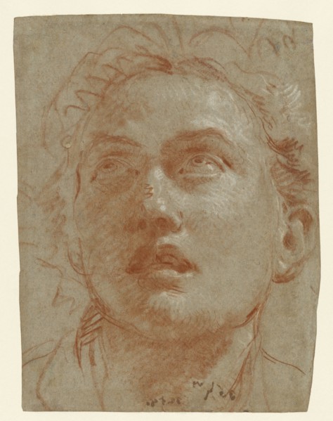 Head of a Man Looking Up; Giovanni Battista Tiepolo, Italian, 1696 - 1770, about 1750 - 1760; Red and white chalk on blue laid
