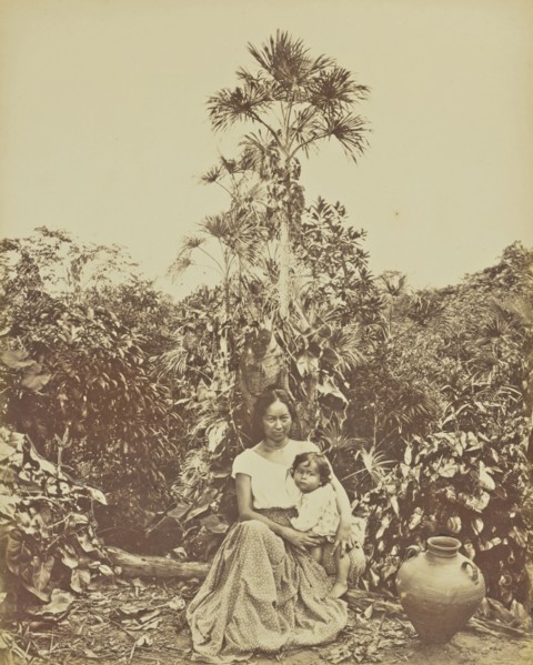 Metis; Albert Frisch, German, 1840 - 1918, Brazil; about 1867; Albumen silver print