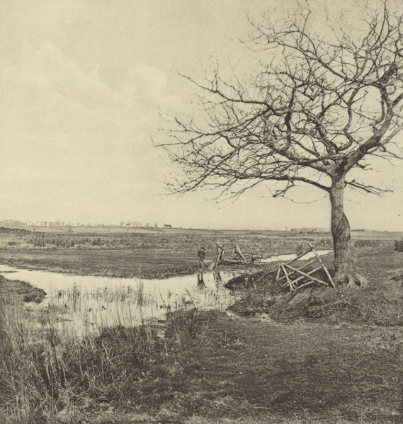 Leafless March. Suffolk; Peter Henry Emerson, British, born Cuba, 1856 - 1936, London, England; 1888; Photogravure; 24.4 x 23.5
