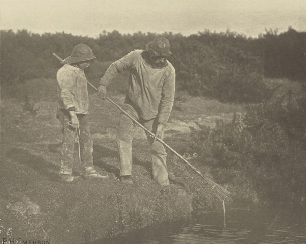 Eel=Picking in Suffolk Waters; Peter Henry Emerson, British, born Cuba, 1856 - 1936, London, England; 1888; Photogravure