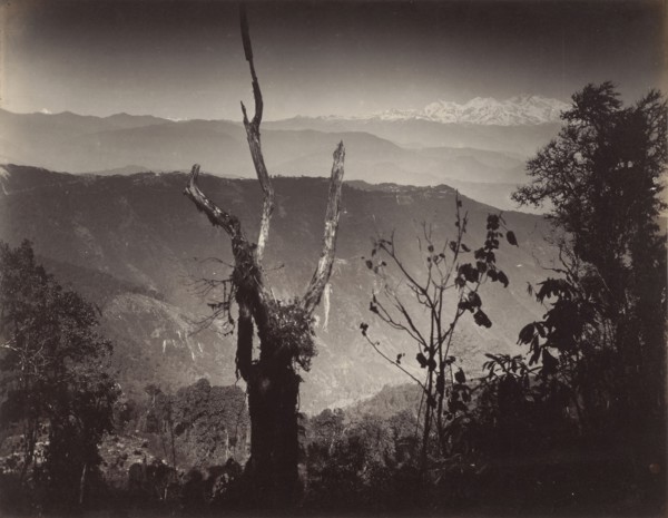 View from Senehal; Samuel Bourne, English, 1834 - 1912, India; about 1867; Albumen silver print