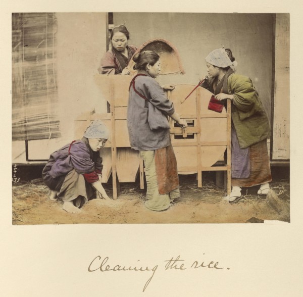 Cleaning the rice; Shinichi Suzuki, Japanese, 1835 - 1919, Japan; about 1873 - 1883; Hand-colored Albumen silver print