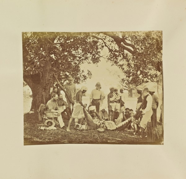 Skinning a Tiger; Colonel William Willoughby Hooper, British, 1837 - 1912, India; about 1870; Albumen silver print
