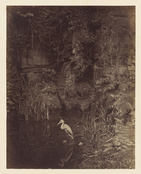 Piscator, No. 2; John Dillwyn Llewelyn, British, 1810 - 1887, London, England; 1856; Albumen silver print