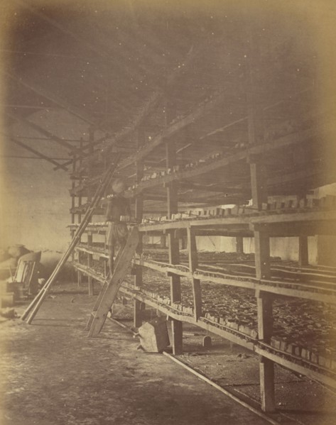 Drying house, Indigo cakes on Shelves, Oscar Mallitte, British, about 1829 - 1905, active Allahabad, India 1870s, Allahabad