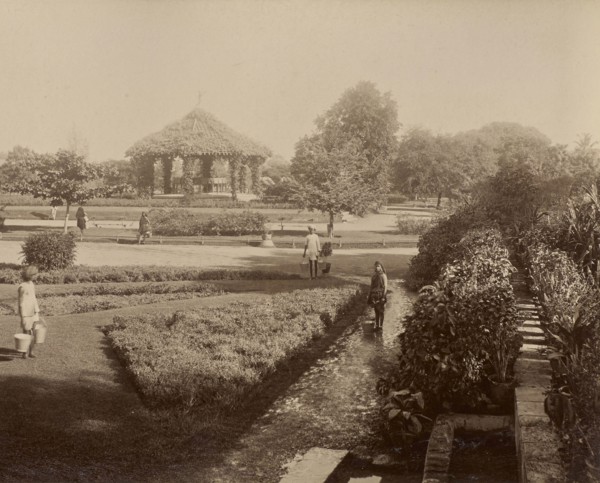 Peile Gardens; India; 1886 - 1889; Albumen silver print
