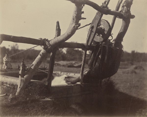 Kos Discharging Water - Guzarat; India; 1886 - 1889; Albumen silver print