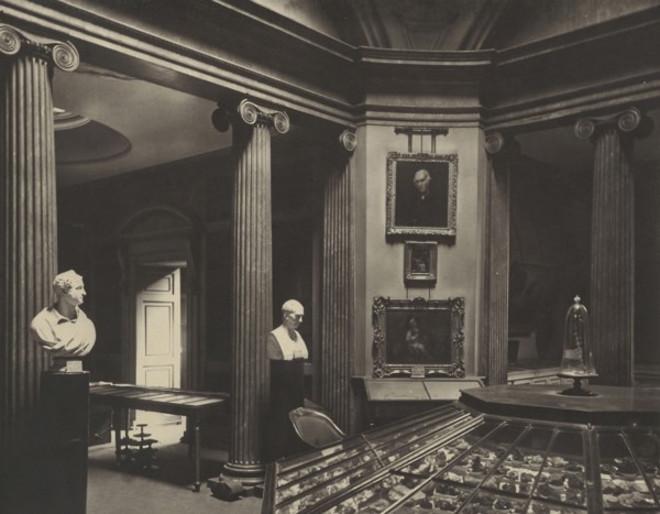 Interior Of The Hunterian Museum; Thomas Annan, Scottish,1829 - 1887, Glasgow, Scotland; 1871; Carbon print; 18.1 × 22.9 cm