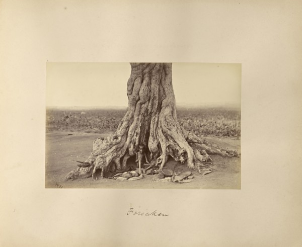 Forsaken; Willoughby Wallace Hooper, English, 1837 - 1912, India; about 1877; Albumen silver print