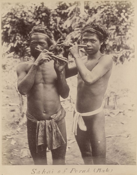 Sahai of Perak, Male, Unknown maker; 1870s - 1880s; Albumen silver print