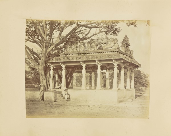 print; Colonel William Willoughby Hooper, British, 1837 - 1912, India; 1873