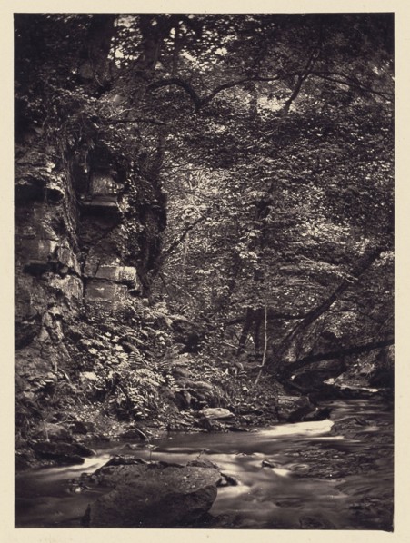 Bend in forest stream; Arthur Brown, British, active 1850s, Saltburn-on-the-Sea, North Yorkshire, England; 1878; Carbon print