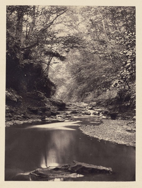 Stream and small waterfall; Arthur Brown, British, active 1850s, Saltburn-on-the-Sea, North Yorkshire, England; 1878; Carbon
