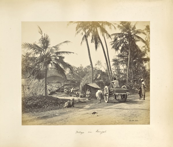 Calcutta; Rustic Scenes and Rural Life in Bengal; Samuel Bourne, English, 1834 - 1912, Calcutta, West Bengal, India, Asia
