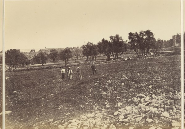 Panoramic View of the City: General View of the City &c. from the North; Sgt. James M. McDonald, English, 1822 - 1885, Israel