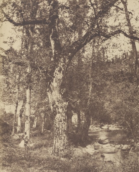 Wooded Landscape with Stream; Attributed to John Stewart, British, 1800 - 1887, Louis Désiré Blanquart-Evrard, French, 1802