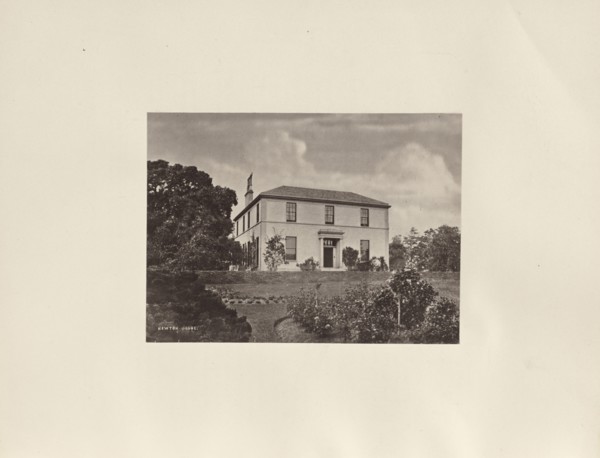 Newton; Thomas Annan, Scottish,1829 - 1887, Glasgow, Scotland; 1878; Albumen silver print