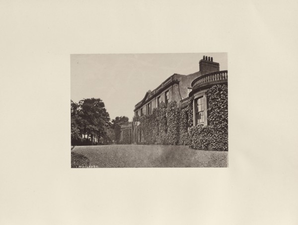 Wellshot; Thomas Annan, Scottish,1829 - 1887, Glasgow, Scotland; 1878; Albumen silver print