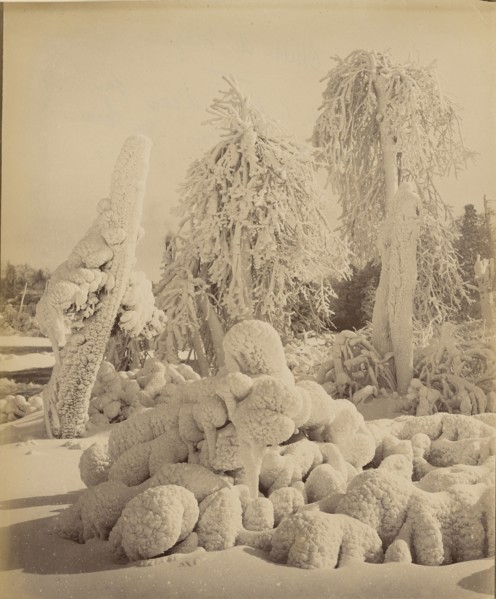 Chûte du Niagara; 1860s - 1880s; Albumen silver print