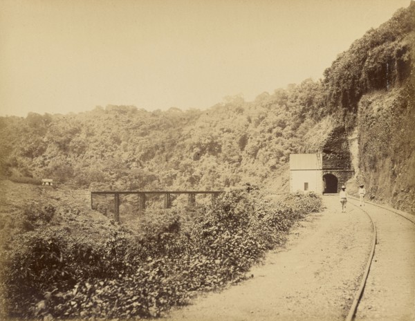 Vistas Mexicanas. Metlac Ravine; Abel Briquet, French, 1833 - ?, Veracruz, Mexico; 1860s - 1880s; Albumen silver print