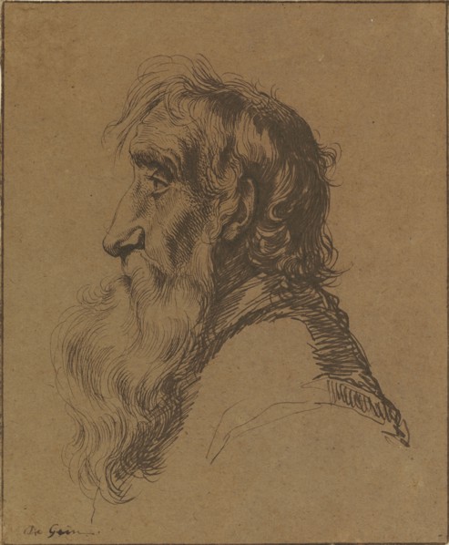 Head of an Old Man; Jacques de Gheyn III, Dutch, about 1596 - 1644, about 1616; Pen and brown ink; 22 x 18 cm