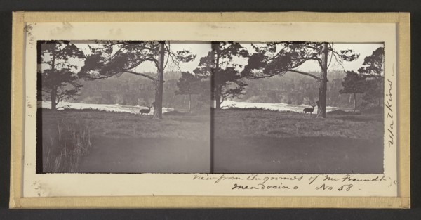 View from the Grounds of Mr. Freundt, Mendocino; Carleton Watkins, American, 1829 - 1916, Mendocino, California, United States