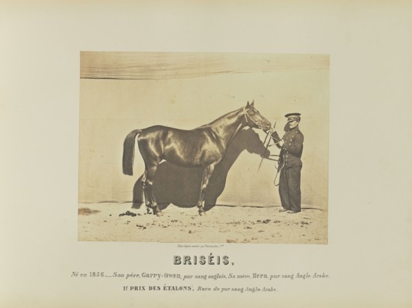 Briséis; Adrien Alban Tournachon, French, 1825 - 1903, France; 1860; Salted paper print; 17.9 × 23.5 cm, 7 1,16 × 9 1,4 in