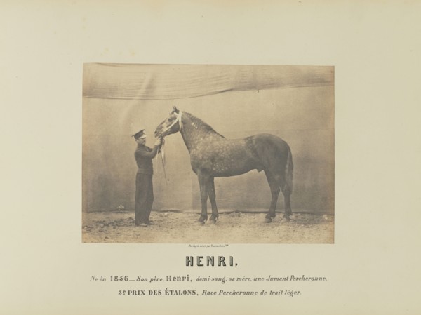 Henri; Adrien Alban Tournachon, French, 1825 - 1903, France; 1860; Salted paper print; 15.8 × 22.2 cm, 6 1,4 × 8 3,4 in