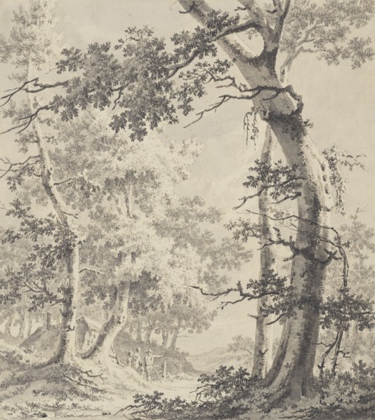 Wooded Landscape; Paulus van Liender, Dutch, 1731 - 1797, about 1780 - 1790; Pen and gray ink and wash over black chalk