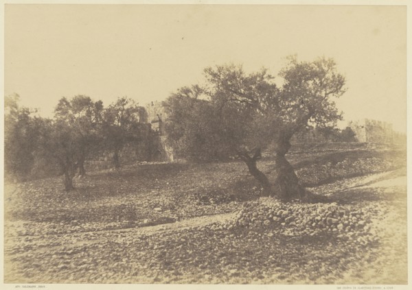 Jérusalem. Porte d'Hérode; Auguste Salzmann, French, 1824 - 1872, Louis Désiré Blanquart-Evrard, French, 1802 - 1872