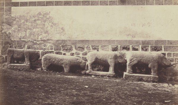Sanghiers in Granite in Palais du Duc d' Abrantes; Juan Laurent, French, 1816 - 1892, n.d; Albumen silver print