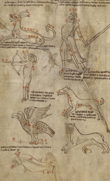 Constellation Diagrams; England; early 13th century; Pen and black, green, and red inks on parchment bound between pasteboard