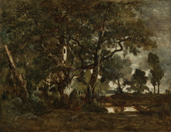 Forest of Fontainebleau, Cluster of Tall Trees Overlooking the Plain of Clair-Bois at the Edge of Bas-Bréau; Théodore Rousseau