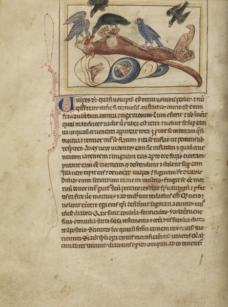 Foxes; England; about 1250 - 1260; Pen-and-ink drawings tinted with body color and translucent washes on parchment; Leaf