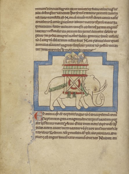 An Elephant; England; about 1250 - 1260; Pen-and-ink drawings tinted with body color and translucent washes on parchment