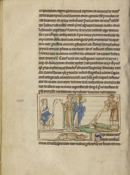 Dogs; England; about 1250 - 1260; Pen-and-ink drawings tinted with body color and translucent washes on parchment; Leaf