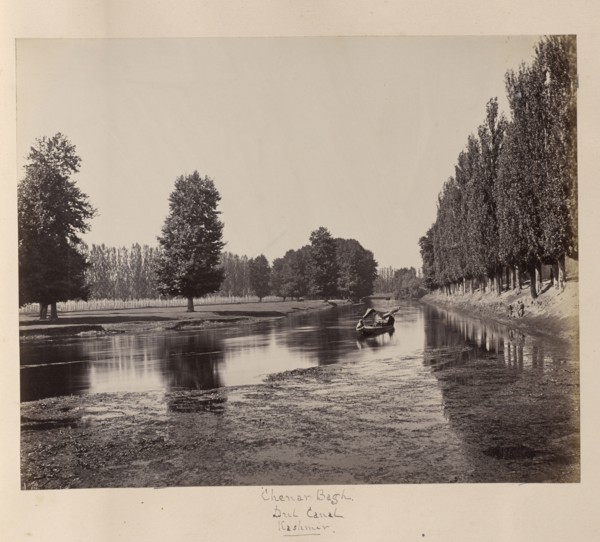 Chenar Bagh, Dul Canal, Kashmir; Samuel Bourne, English, 1834 - 1912, Kashmir, India; 1864; Albumen silver print