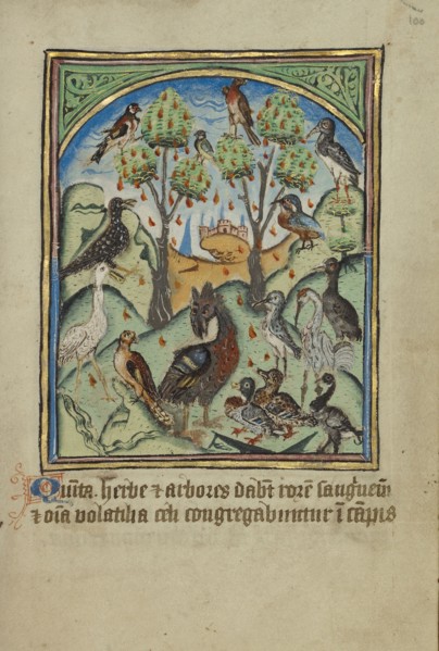 The Fifth Sign before the Day of Judgement; Norfolk perhaps, written, East Anglia, England; illumination about 1190; written