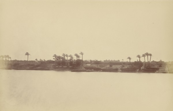 Banks of the Nile with Palm Trees and Boats; Théodule Devéria, French, 1831 - 1871, France; February 1865; Albumen silver print