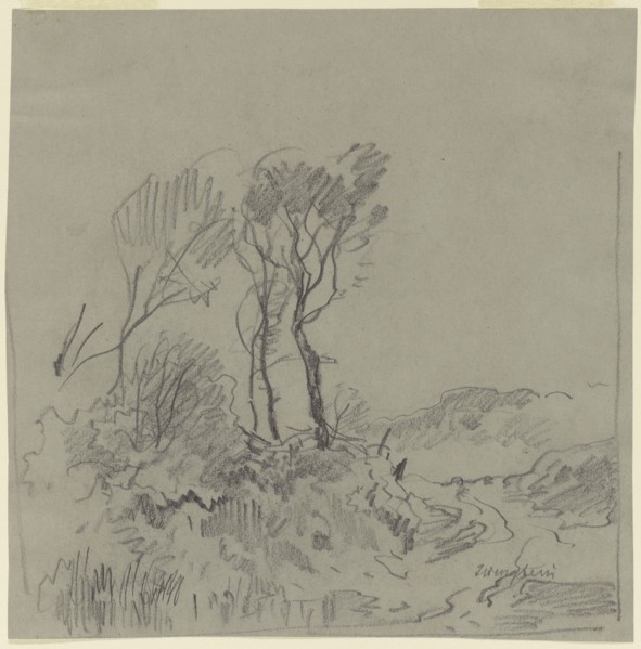 Tree Studies; Josef Wenglein, German, 1845 - 1919, Germany; n.d; Graphite; 20 x 19.8 cm, 7 7,8 x 7 13,16 in