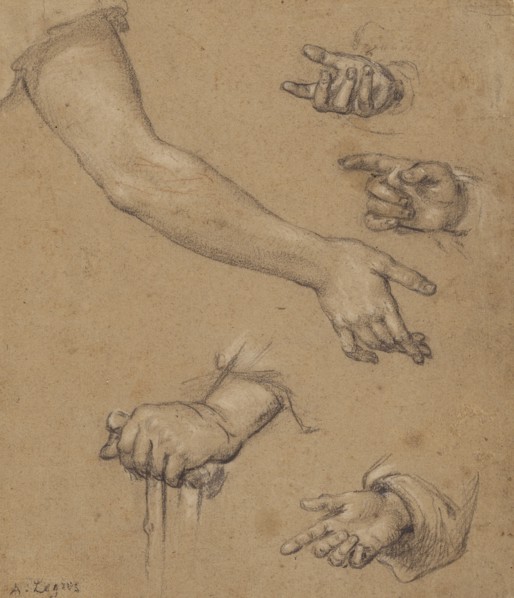 Studies of Hands; Alphonse Legros, British, born France, 1837 - 1911, France; n.d; Black and white chalk with touches of red