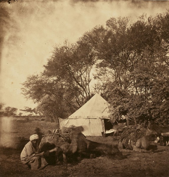 Faiyum Oasis; Egypt; about 1860 - 1880; Tinted Albumen silver print