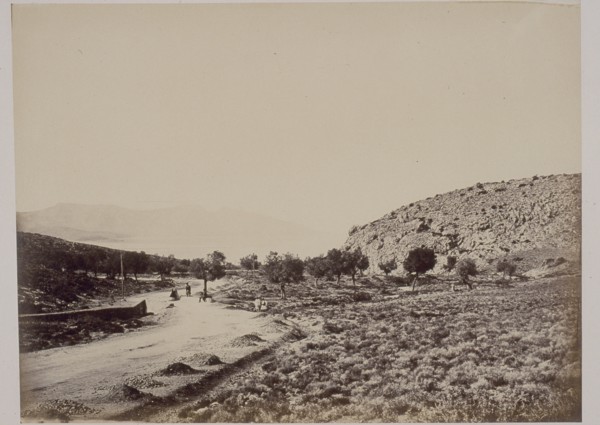 The Greek countryside, Konstantinou, Dimitris, fl. 1858-1875, Albumen, 1860-1869, Title written on mount. This photograph