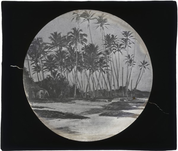 Belize?, Augustus and Alice Dixon Le Plongeon papers, 1763-1937, bulk 1860-1910, Le Plongeon, Alice D., Alice Dixon, 1851-1910