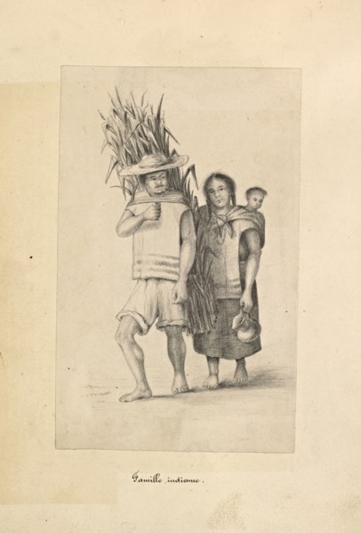 1865, Mexique, 1865, Mexique, 1865, 1864-ca. 1867, This album was assembled by Louis Falconnet, an officer in the French army
