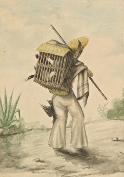 1865, Mexique, 1865, Mexique, 1865, Falconnet, Louis, 1864-ca. 1867, by Louis Falconnet, an officer in the French army